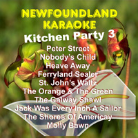 Newfoundland Karaoke Kitchen Party 3